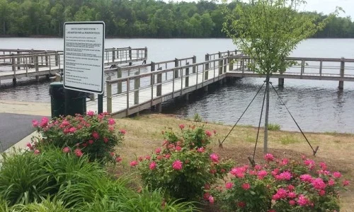 Lake McIntosh